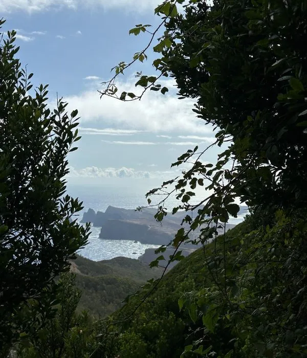 Vereda-do-larano (1).jpg