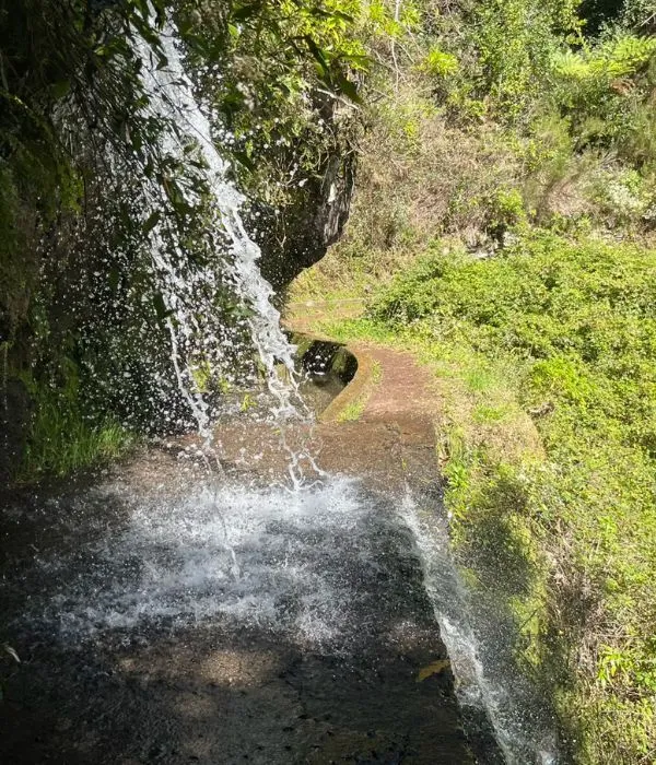 Levada-dos-tornos-01.jpg