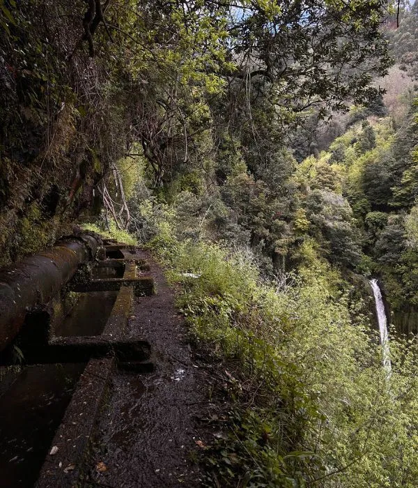 Levada-dos-tornos-04.jpg