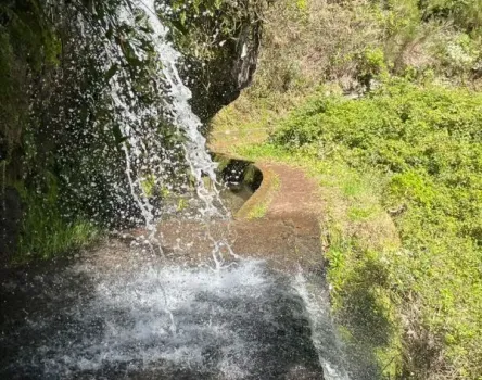 Image of blog Levada dos Tornos