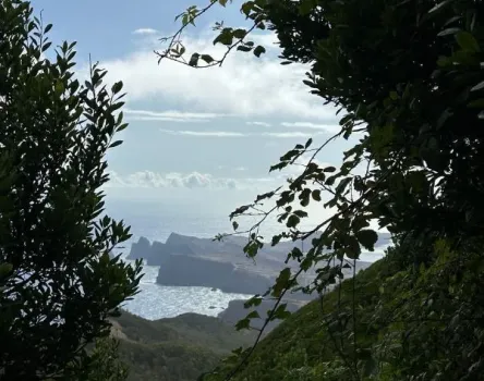 Image of blog Vereda do Larano